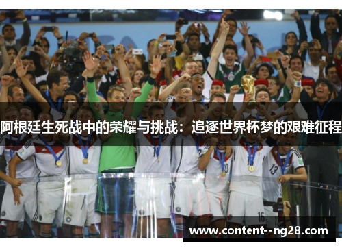 阿根廷生死战中的荣耀与挑战：追逐世界杯梦的艰难征程