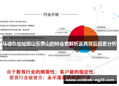 马德鲁加加盟山东泰山的转会费解析及其背后因素分析