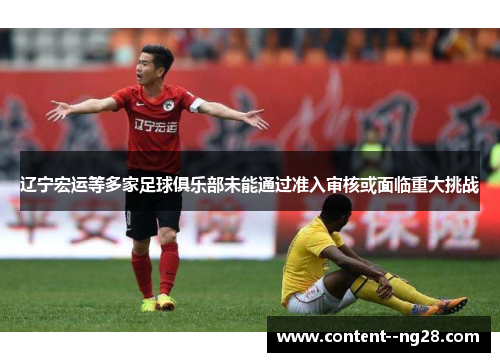 辽宁宏运等多家足球俱乐部未能通过准入审核或面临重大挑战 辽宁宏运等多家足球俱乐部未能通过准入审核或面临重大挑战