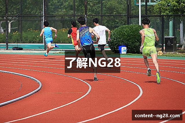 了解NG28